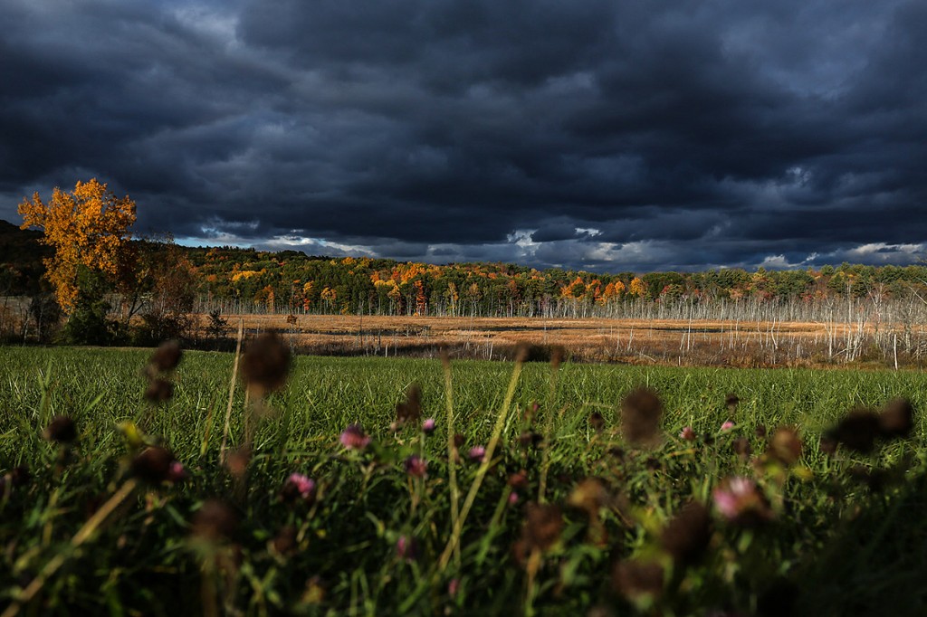 Autumn colors on the east coast with stormy skies