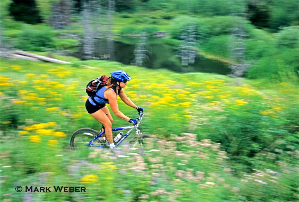 Tracey Weber mountain biking the Walstrom HollowTrail through the wildflowers which is located high in The Goose Creek Mountains of southern Idaho