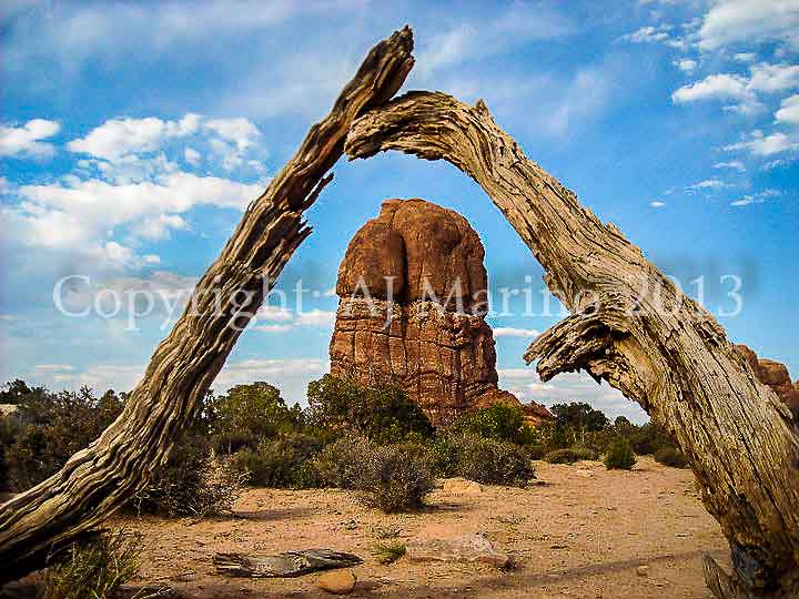 AJ Marino photo photography image of rock under dead wood in Arches National Park near Moab UT Utah