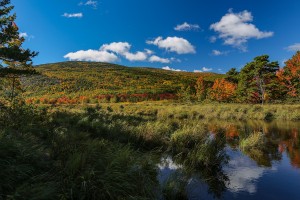 Colors in Acadia.