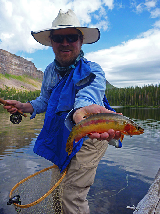 Carper with a stunning golden trout