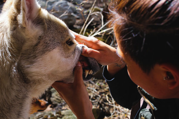 Woman checks dog's gums to test how hydrated he is