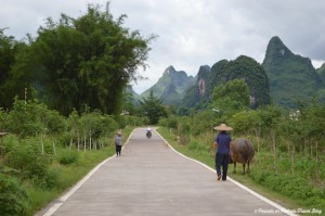 Yangshou Countryside with Chinese farmers walking livestock 