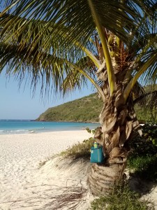 The Mountainsmith Sixer sits in front of a palm tree on playa flamenco