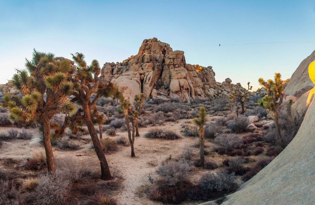 Highline in Joshua Tree National park, photo by Scott Hardesty