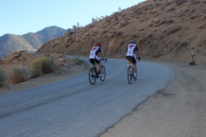 Team Hungry Hippos bicycling on the road