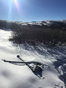 Mountainsmith trekking poles in powdery snow with a mountain range background 