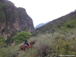 Man riding horse in Tiger Leaping Gorge, China