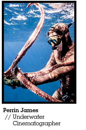 perrin james underwater with an octopus