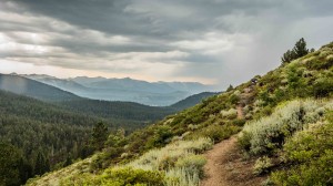 AJ Marino's photo from the Tahoe Rim Trail