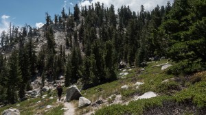 Hiking through Heavenly's Killebrew Canyon 