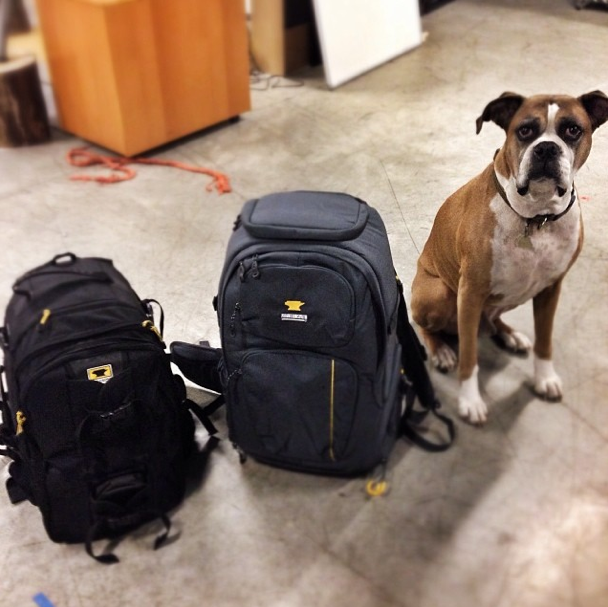 Arthur the boxer dog sits next to the old and new Mountainsmith Parallax camera bag