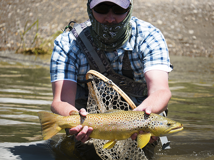 Tom holds a beautiful brown trout