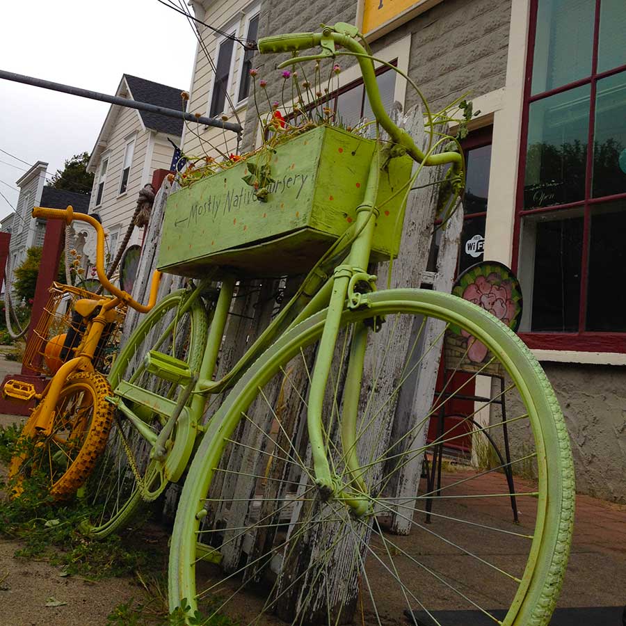 The front of Cafe 2 in Tomales, California. Two old bikes are parked out front advertising a nearby greenhouse.
