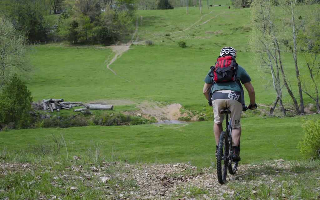 Aaron Codling rides a mountain bike through a cow pasture, image by Curtis Savard