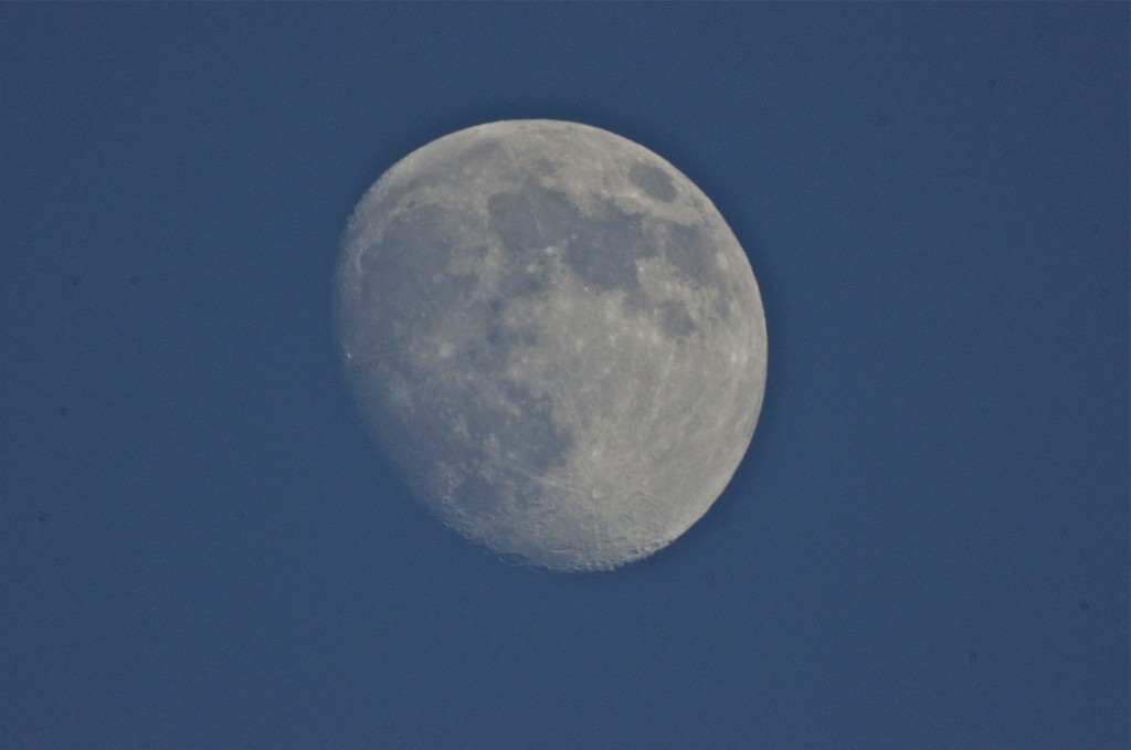 Waxing Moon in Colorado