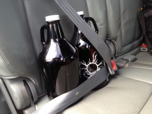 two growlers buckled into the back seat of a car