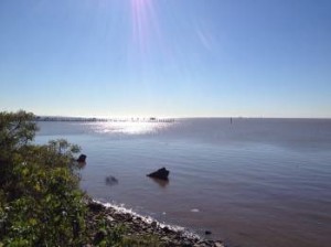 Rio Plata as seen from the Reserva Ecologica