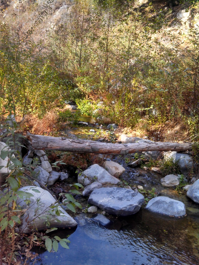 a stream with rocks in it