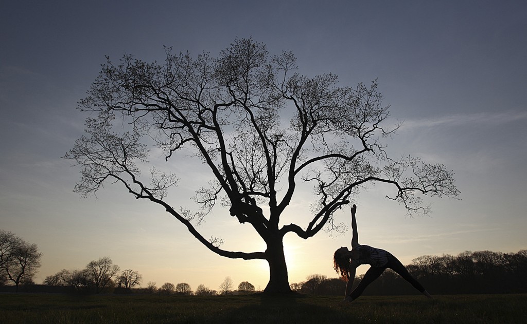 a woman does yoga in front of a silhouette of a tree